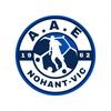 logo Nohant Vic 1