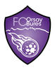 logo Orsay Bures FC 31