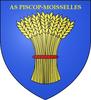 logo Piscop Moisselles AS 31