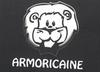 logo Ploufragan Armoric 1