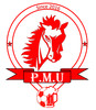 logo Plouye Magic United