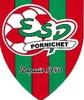 logo Pornichet ES 22