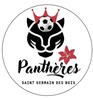 logo Association les Pantheres de St Germain des Bois