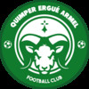 logo Quimper Ergue Armel 21