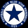 logo Reiningue Blue Star 3