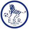 logo ENT.S Renaissance Remeling