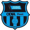 logo Ren Odia 1