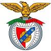 logo S. Benfica Graulhet 2