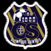 logo O. Saintois