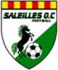 logo Saleilles OC 1