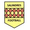 logo AS Salindroise