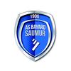 logo AS Bayard Saumur St Hil. St FL