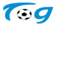 logo Semitag CE 1