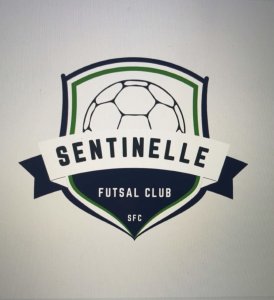 logo SFC 1