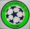 logo Sete Ofc 1