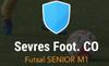 logo Sevres Foot CO 31