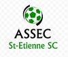 logo St Etienne CH 71