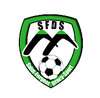 logo St Forg/dracy 1