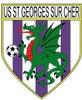 logo St Georges US 21