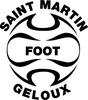 logo St Martin. Gel 2