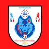 logo Futsal Club Saint-venantais