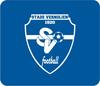 logo Stade Vernolien 2