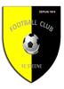 logo Steene FC 1