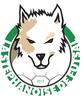 logo Stephanoise Futsal 2