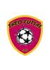 logo Theo Futsal 2