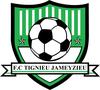 logo Tignieu Jameyzieu FC 1