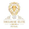 logo Toulouse Elite Futsal