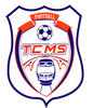 logo Toulouse Cheminot MA 1