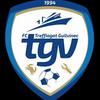 logo Treffiagat Guilvinec FC