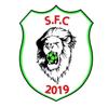 logo Troyes Sporting Futs 2