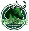 logo US Thoroise 3