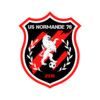 logo US Normande 76 21