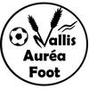 logo Vallis Aurea Foot 1