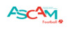 logo Vannes AS Cam 31