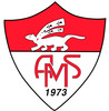 logo Vannes Menimur 21