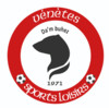 logo Vannes Venetes Vsl 31