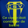 logo CS Vauciennes