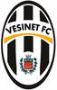 logo Vesinet FC 11