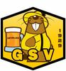 logo Vezelise GS 1