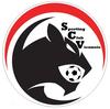 logo Viennois SC 1