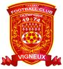 logo Vigneux FCo. 6