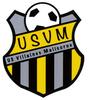 logo Villaines Malicorne 3