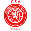 logo Volmerange Mines CS 21