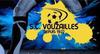 logo Vouzailles SC 1