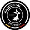 logo Wasquehal Football 5